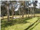 270 CASSONS CREEK ROAD, Cangai NSW 2460