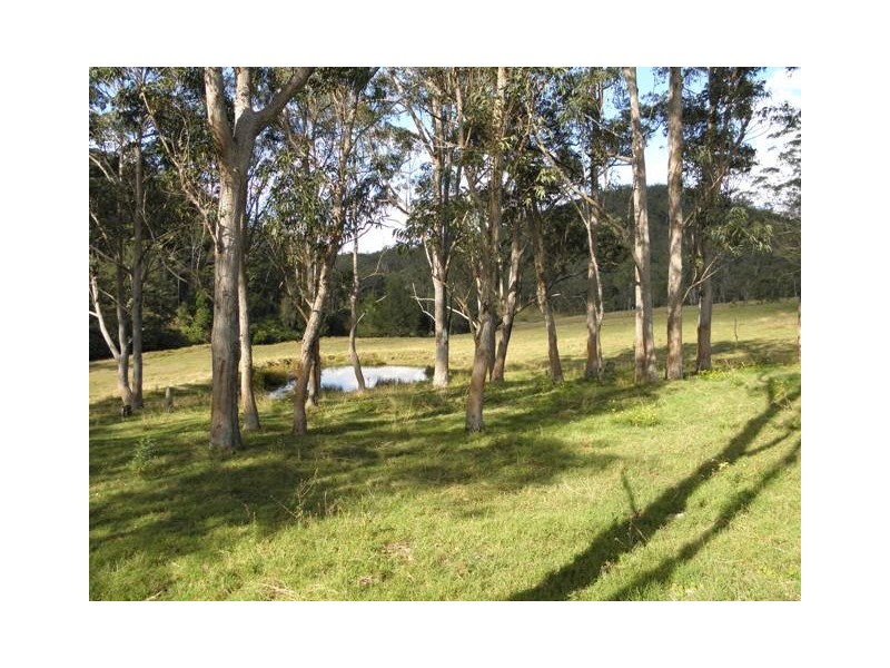 270 CASSONS CREEK ROAD, Cangai NSW 2460