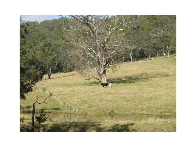270 CASSONS CREEK ROAD, Cangai NSW 2460