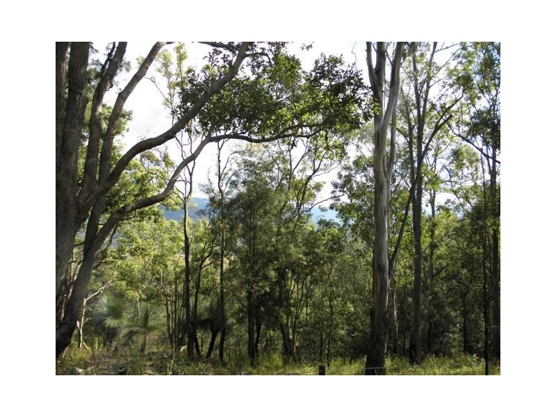 270 CASSONS CREEK ROAD, Cangai NSW 2460