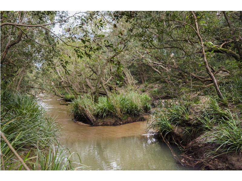 1121 Clarence Way, Whiteman Creek NSW 2460