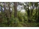 1121 Clarence Way, Whiteman Creek NSW 2460