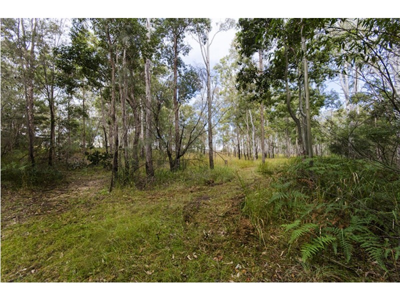 1121 Clarence Way, Whiteman Creek NSW 2460