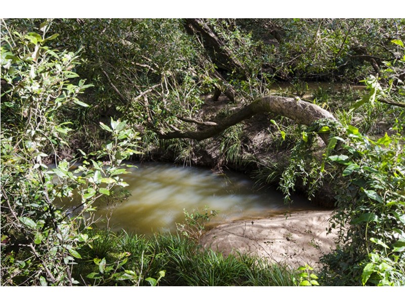 1121 Clarence Way, Whiteman Creek NSW 2460