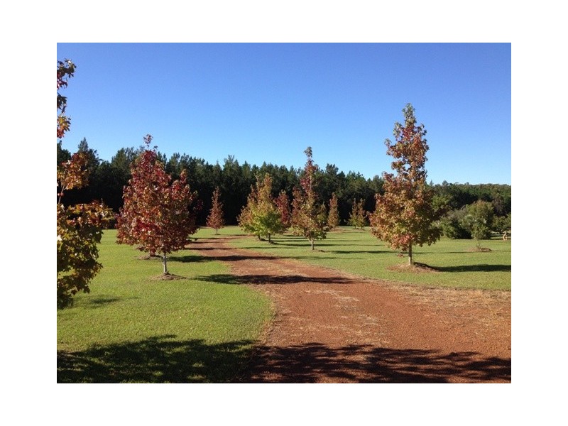 376 Omega Drive, Kungala NSW 2460