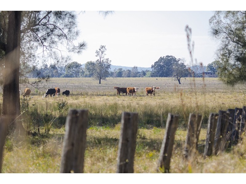 1425 Lawrence Road, Southgate NSW 2460