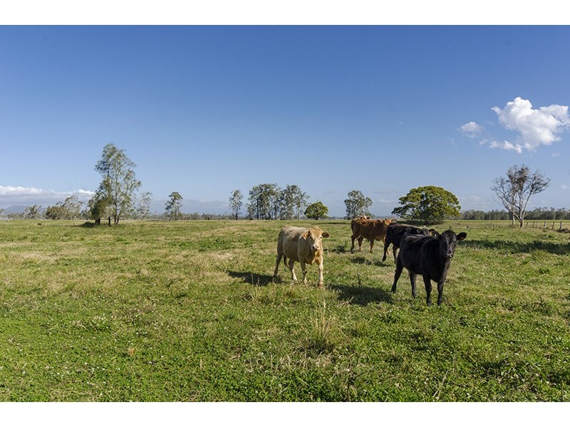 539 Coldstream Road, Ulmarra NSW 2462