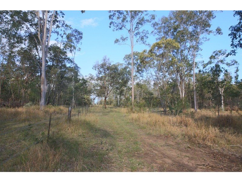 346 Shannondale Road, Shannondale NSW 2460