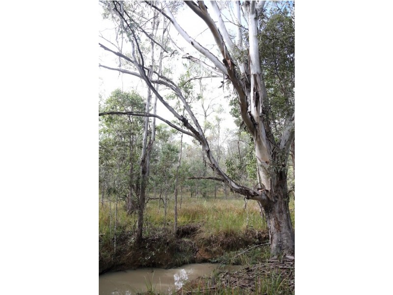 346 Shannondale Road, Shannondale NSW 2460