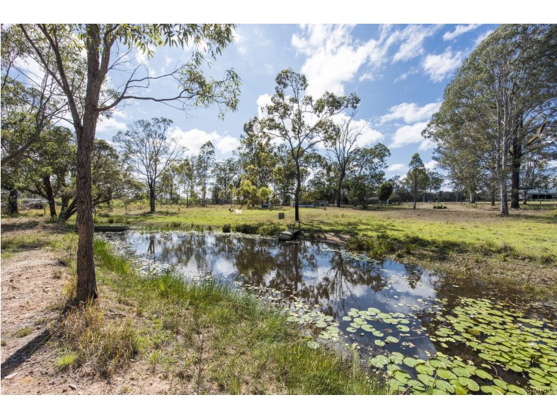 462 Kangaroo Creek Road, Coutts Crossing NSW 2460