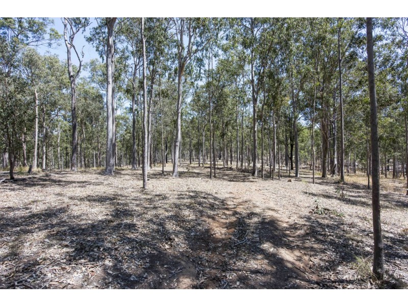 “Lemon Gully” Smiths Creek, Smiths Creek NSW 2460