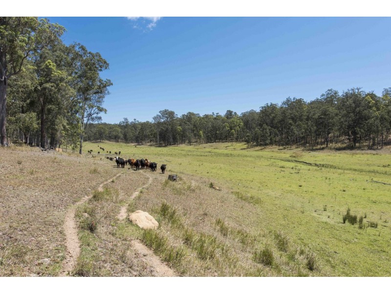 “Lemon Gully” Smiths Creek, Smiths Creek NSW 2460