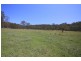 801 Kangaroo Creek Road, Coutts Crossing NSW 2460