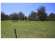 801 Kangaroo Creek Road, Coutts Crossing NSW 2460