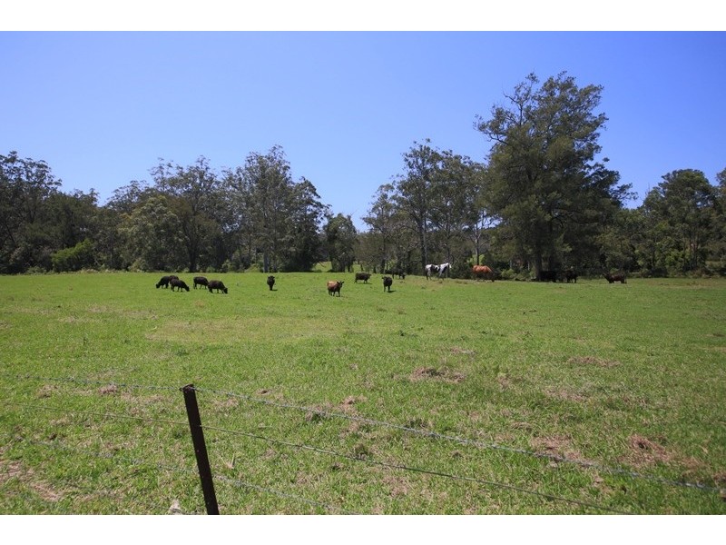 801 Kangaroo Creek Road, Coutts Crossing NSW 2460