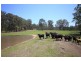 801 Kangaroo Creek Road, Coutts Crossing NSW 2460