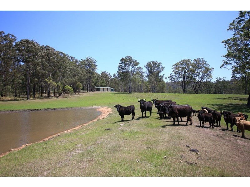 801 Kangaroo Creek Road, Coutts Crossing NSW 2460