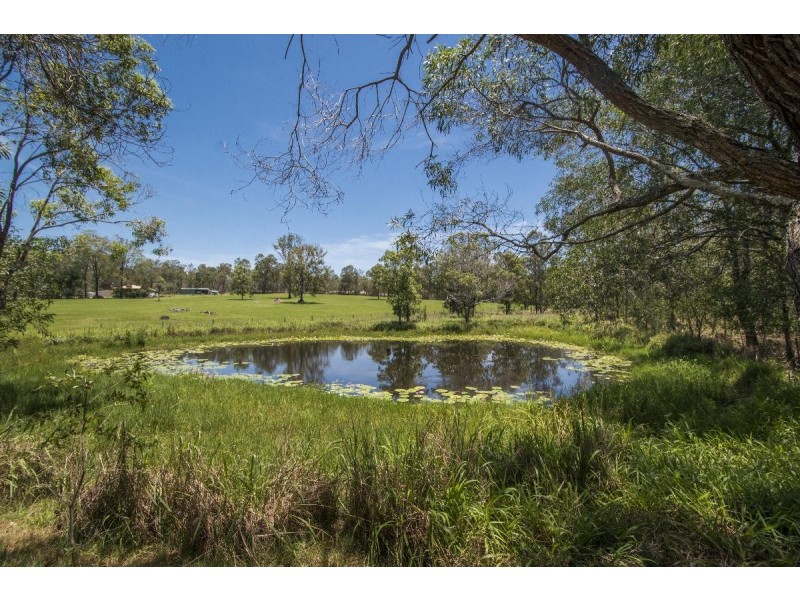 436 SEELANDS HALL ROAD, Seelands NSW 2460