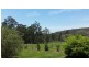 36 THE DESERT, Wells Crossing NSW 2460