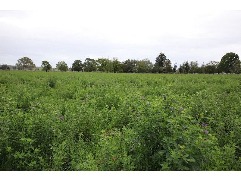 299 Gwydir Highway, Waterview NSW 2460