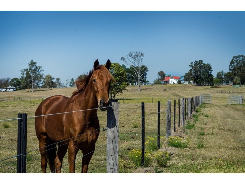 2/109 Ellem Lane, The Whiteman NSW 2460