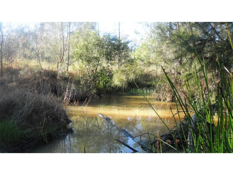 14 Brynvale Lane, Coutts Crossing NSW 2460