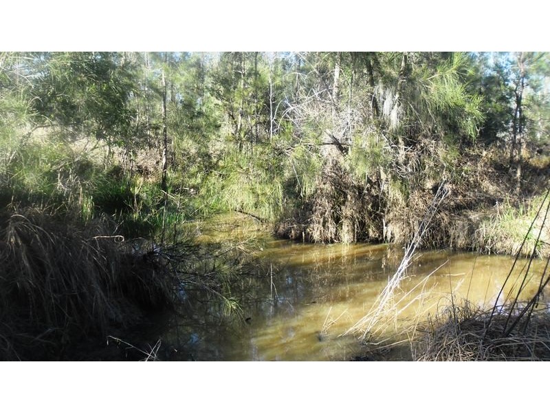 14 Brynvale Lane, Coutts Crossing NSW 2460