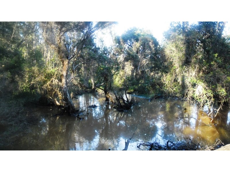 14 Brynvale Lane, Coutts Crossing NSW 2460