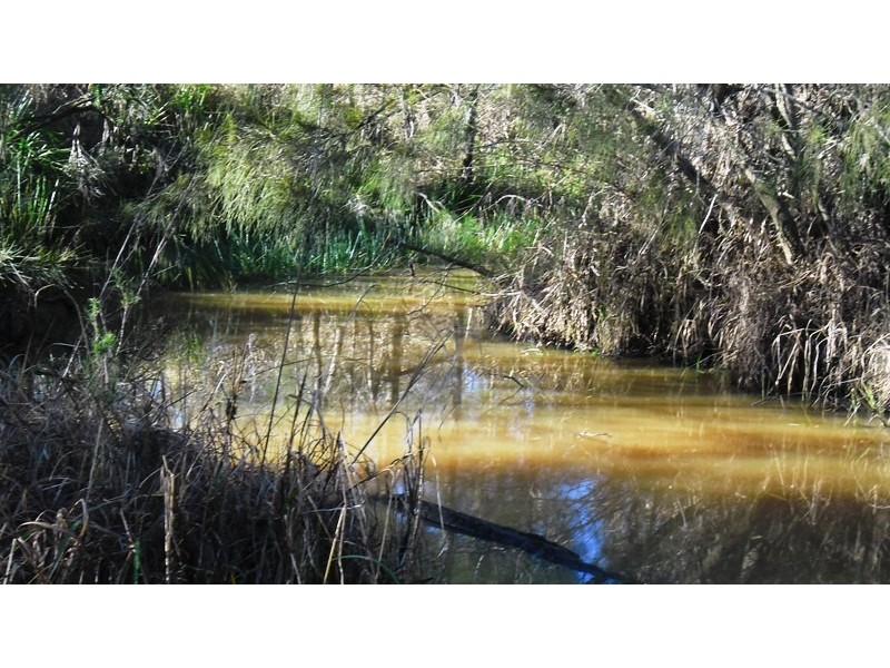 14 Brynvale Lane, Coutts Crossing NSW 2460