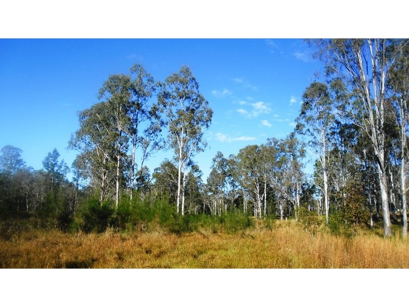 14 Brynvale Lane, Coutts Crossing NSW 2460