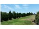 36 THE DESERT, Wells Crossing NSW 2460