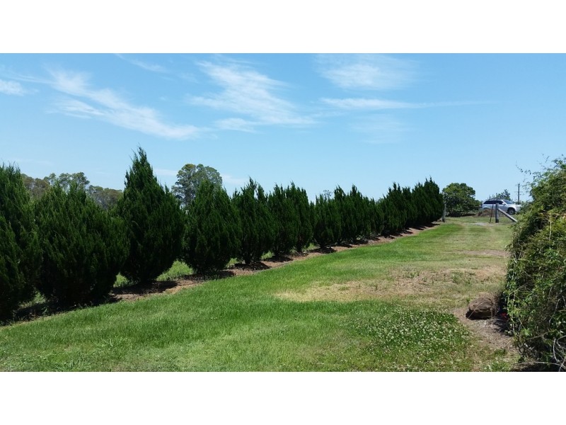 36 THE DESERT, Wells Crossing NSW 2460