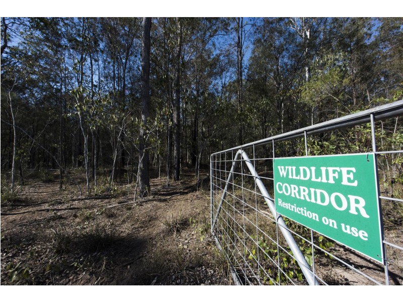 Lot 6 Burragan Road, Coutts Crossing NSW 2460