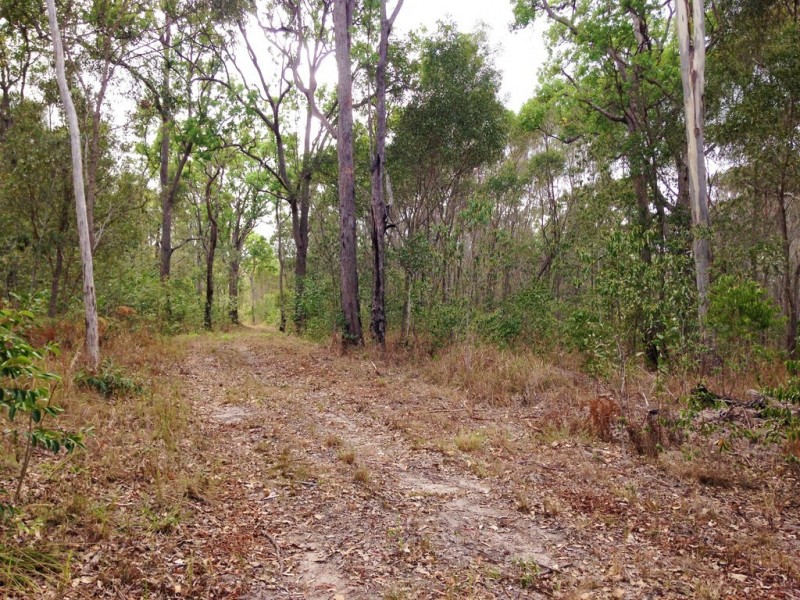 1889 Gwydir Highway, Ramornie NSW 2460