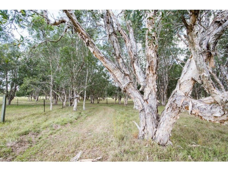 7 ZIETSCH CLOSE, Warragai Creek NSW 2460