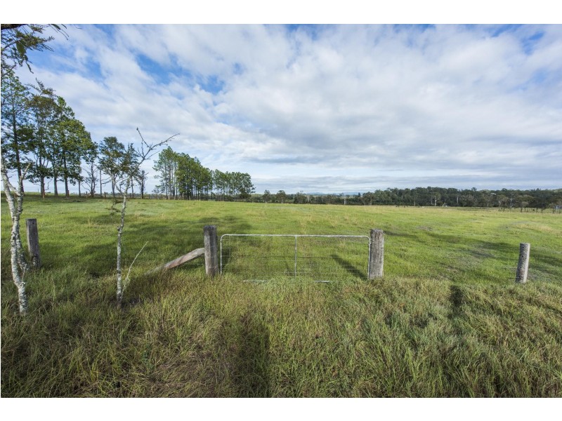 Lot 1/719 Seelands Hall Road, Seelands NSW 2460