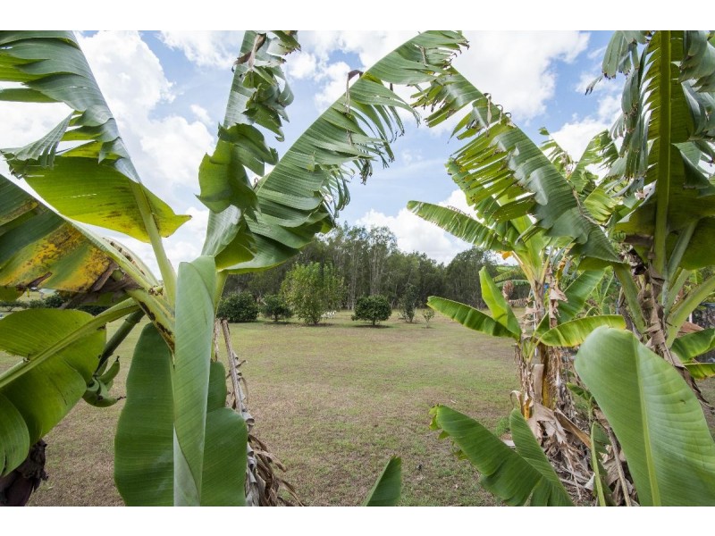 7 ZIETSCH CLOSE, Warragai Creek NSW 2460