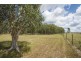 7 ZIETSCH CLOSE, Warragai Creek NSW 2460