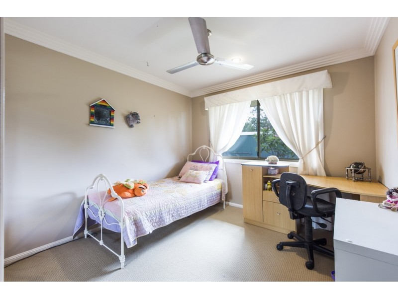 246 Shannondale Road, Shannondale NSW 2460