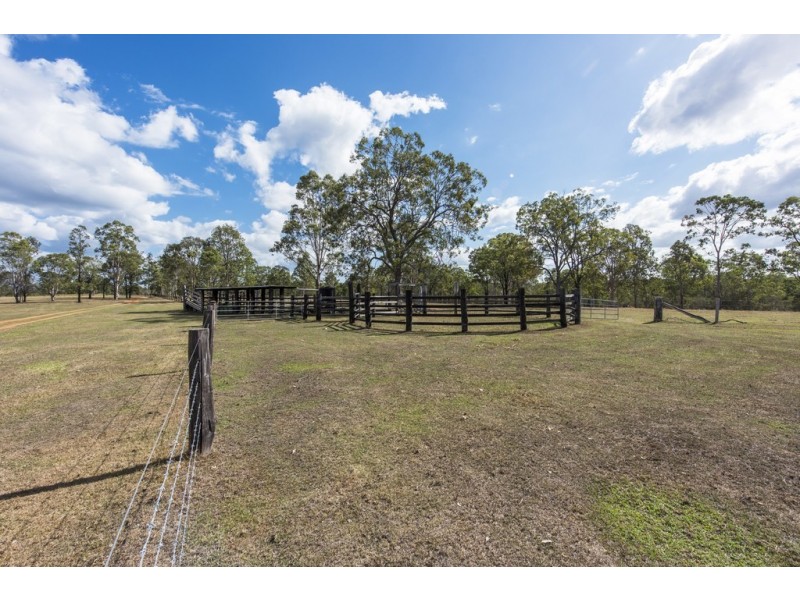 246 Shannondale Road, Shannondale NSW 2460