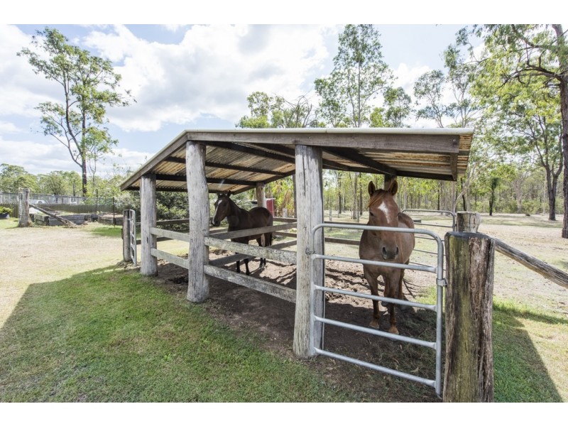 246 Shannondale Road, Shannondale NSW 2460