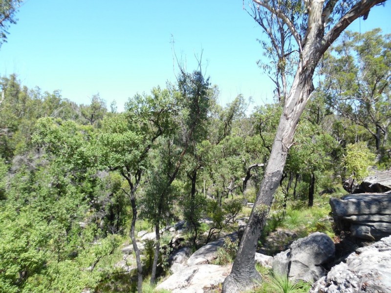 98 Blackbutt Road, Kremnos NSW 2460
