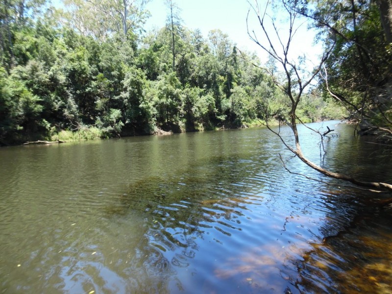 98 Blackbutt Road, Kremnos NSW 2460
