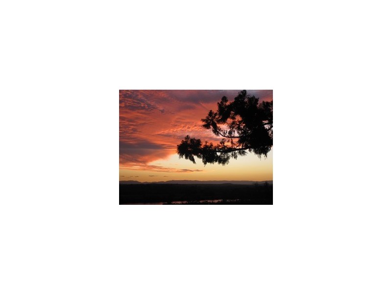 Lot 2/719 Seelands Hall Road, Seelands NSW 2460