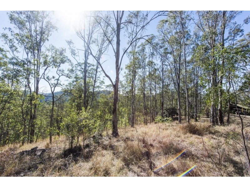 174 Frickers Road, Nymboida NSW 2460