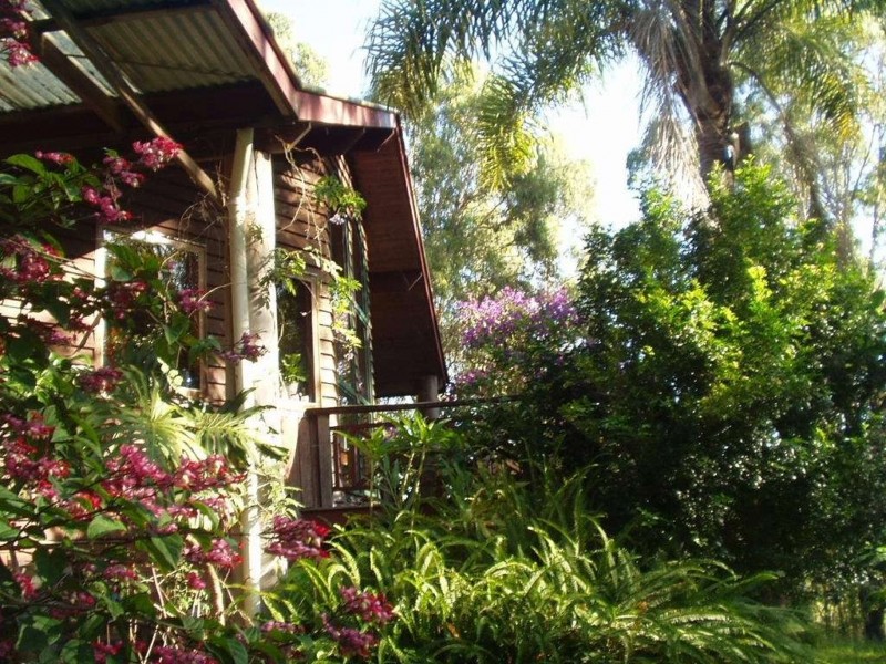 174 Frickers Road, Nymboida NSW 2460