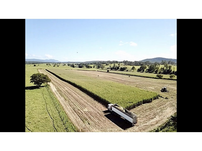 2351 Clarence Way, Upper Copmanhurst NSW 2460