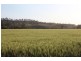 2351 Clarence Way, Upper Copmanhurst NSW 2460