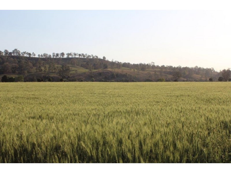 2351 Clarence Way, Upper Copmanhurst NSW 2460