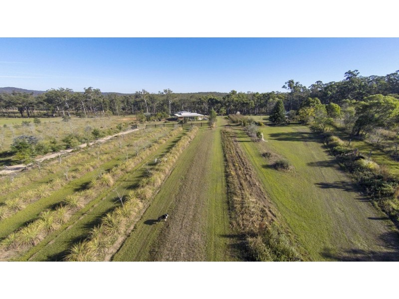 212 Curlew Drive, Lanitza NSW 2460